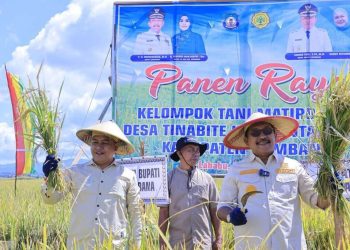 Bupati Bombana Bersama Wakil Panen Raya di Lantari Jaya