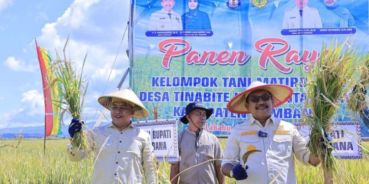 Bupati Bombana Bersama Wakil Panen Raya di Lantari Jaya