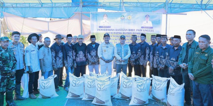 Bupati Bombana Pimpin Panen Raya di Tinabite