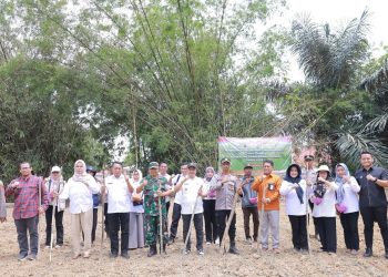 Pemkab Bombana Bersama Polri Tanam Jagung Serentak Satu Juta Hektar