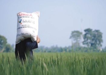 Bombana Peringkat ketiga Penyaluran Pupuk Bersubsidi di Sultra