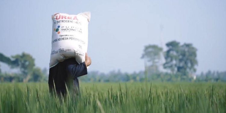 Bombana Peringkat ketiga Penyaluran Pupuk Bersubsidi di Sultra